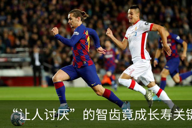 “让人讨厌”的智齿竟成长寿关键？研究：脑损伤、神经炎症通通改善