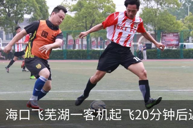 海口飞芜湖一客机起飞20分钟后返航，桂林航空：空中遇飞鸟撞击，需全面检查
