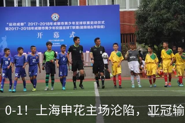 0-1！上海申花主场沦陷，亚冠输给日本球队，遭遇两连败